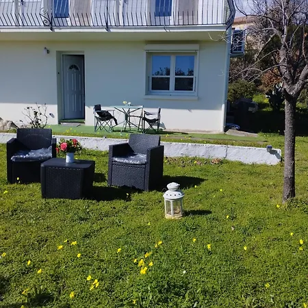 T2 Jardin 800 M De La Plage Corse San-Nicolao